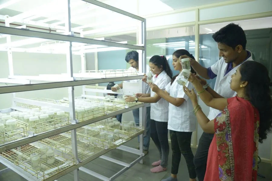 Plant Tissue Culture Lab